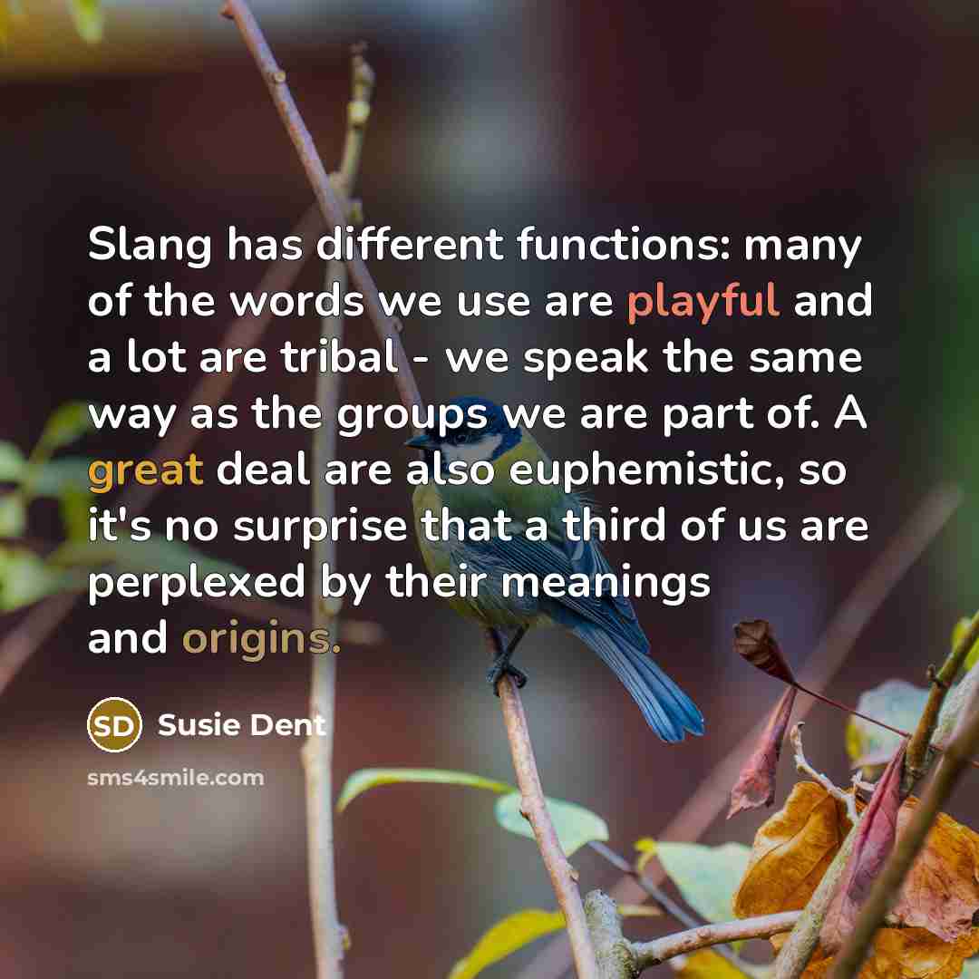 “Slang has different functions: many of the words we use are playful and a lot are tribal - we speak the same way as the groups we are part of. A great deal are also euphemistic, so it's no surprise that a third of us are perplexed by their meanings and origins.” quote by Susie Dent