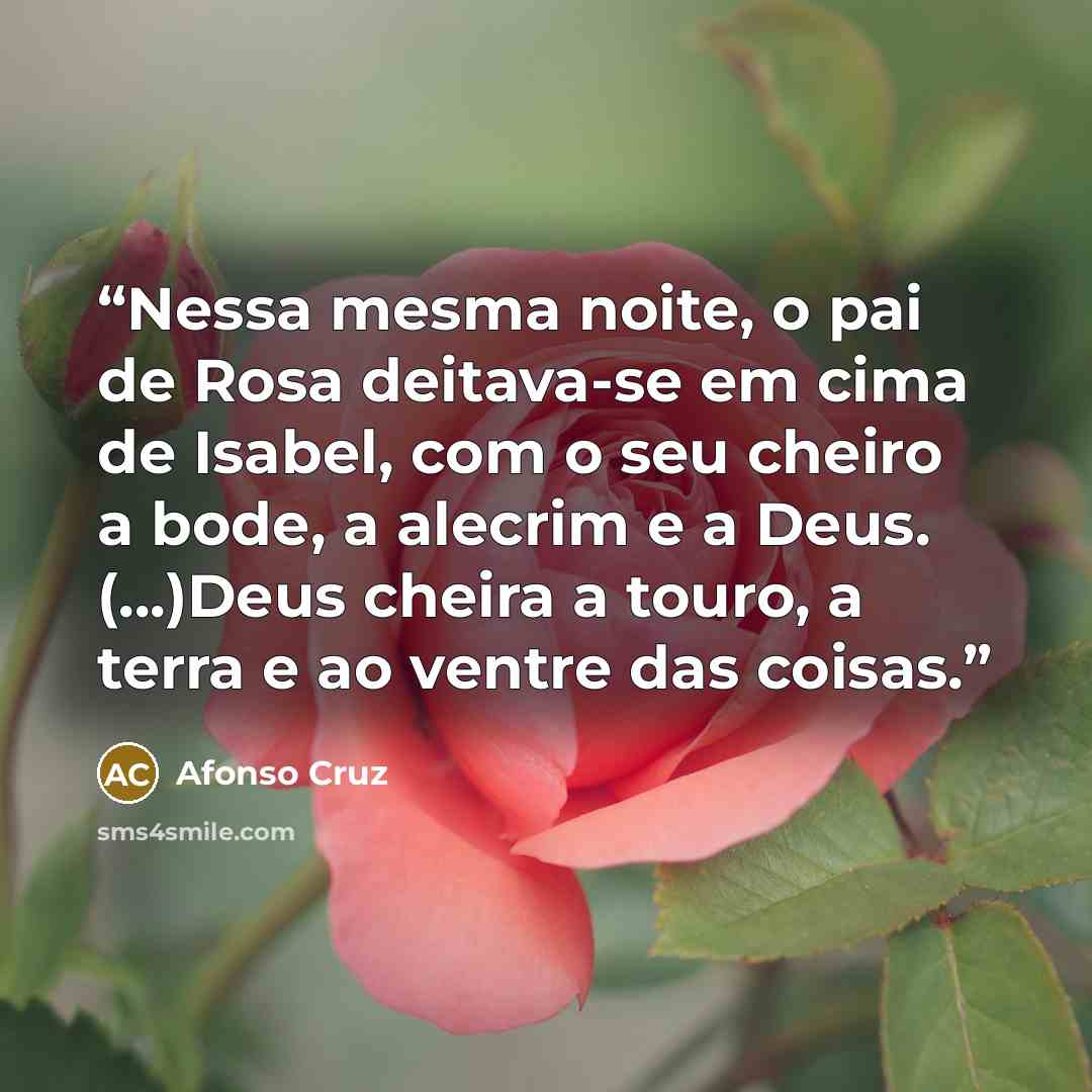 “Nessa mesma noite, o pai de Rosa deitava-se em cima de Isabel, com o seu cheiro a bode, a alecrim e a Deus. (...)Deus cheira a touro, a terra e ao ventre das coisas.” quote by Afonso Cruz