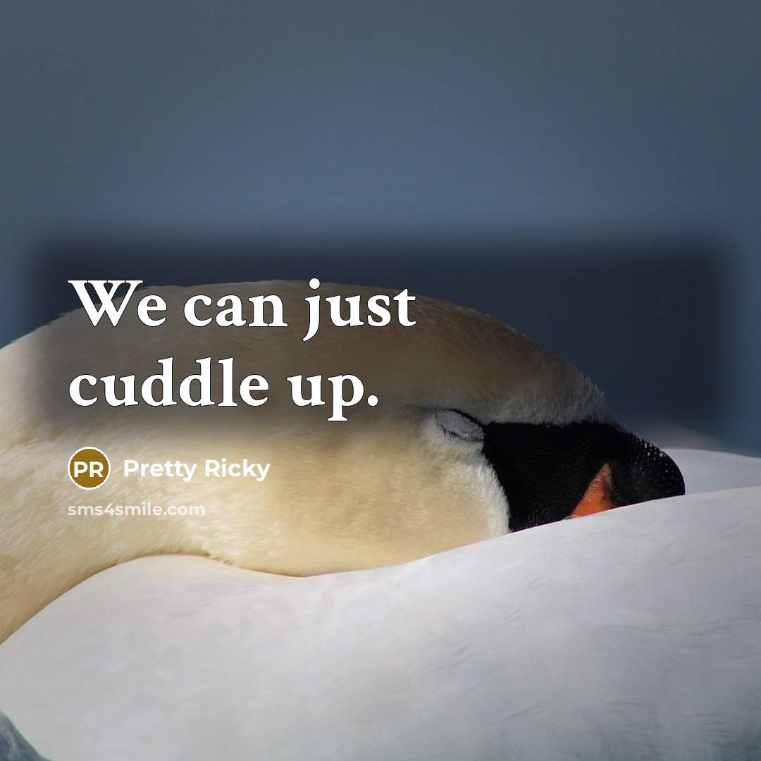 “We can just cuddle up.” quote by Pretty Ricky