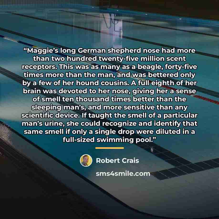 “Maggie’s long German shepherd nose had more than two hundred twenty-five million scent receptors. This was as many as a beagle, forty-five times more than the man, and was bettered only by a few of her hound cousins. A full eighth of her brain was devoted to her nose, giving her a sense of smell…” quote by Robert Crais