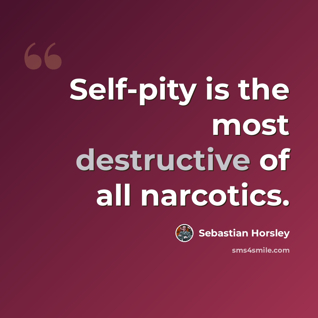 “Self-pity is the most destructive of all narcotics.” quote by Sebastian Horsley