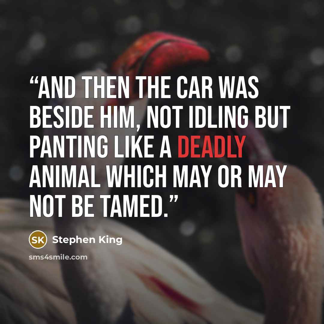 “And then the car was beside him, not idling but panting like a deadly animal which may or may not be tamed.” quote by Stephen King