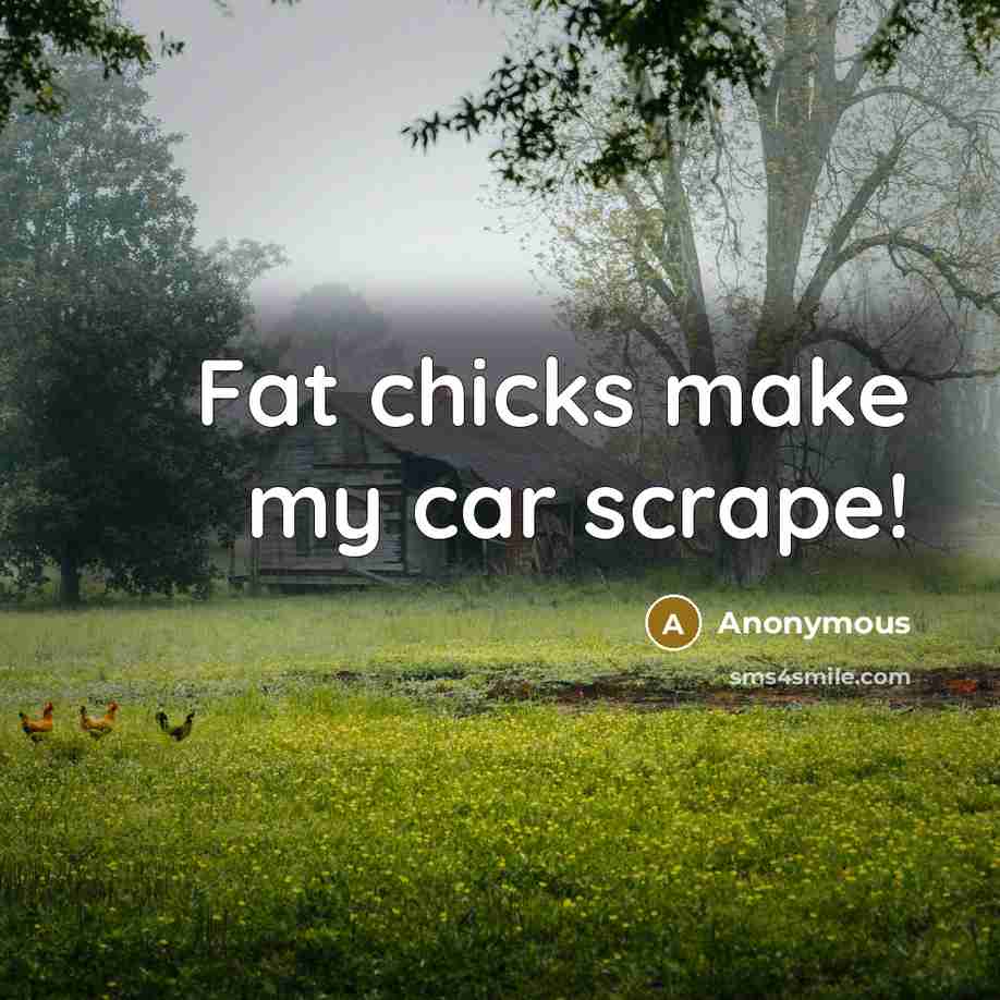 “Fat chicks make my car scrape!” quote by Anonymous