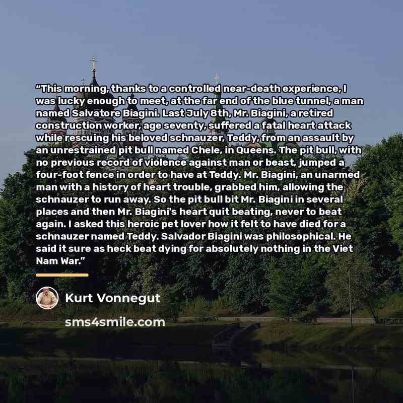 “This morning, thanks to a controlled near-death experience, I was lucky enough to meet, at the far end of the blue tunnel, a man named Salvatore Biagini. Last July 8th, Mr. Biagini, a retired construction worker, age seventy, suffered a fatal heart attack while rescuing his beloved schnauzer…” quote by Kurt Vonnegut
