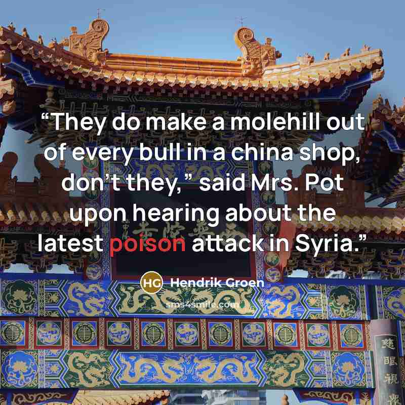 “They do make a molehill out of every bull in a china shop, don’t they,” said Mrs. Pot upon hearing about the latest poison attack in Syria.” quote by Hendrik Groen
