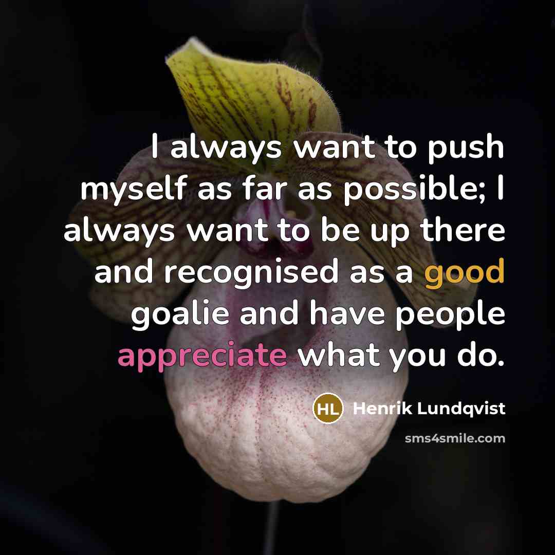 “I always want to push myself as far as possible; I always want to be up there and recognised as a good goalie and have people appreciate what you do.” quote by Henrik Lundqvist