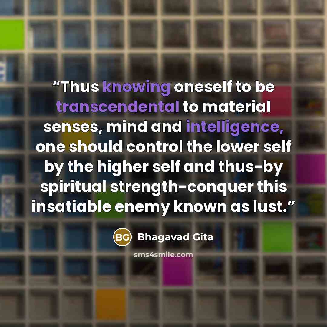 “Thus knowing oneself to be transcendental to material senses, mind and intelligence, one should control the lower self by the higher self and thus-by spiritual strength-conquer this insatiable enemy known as lust.” quote by Bhagavad Gita