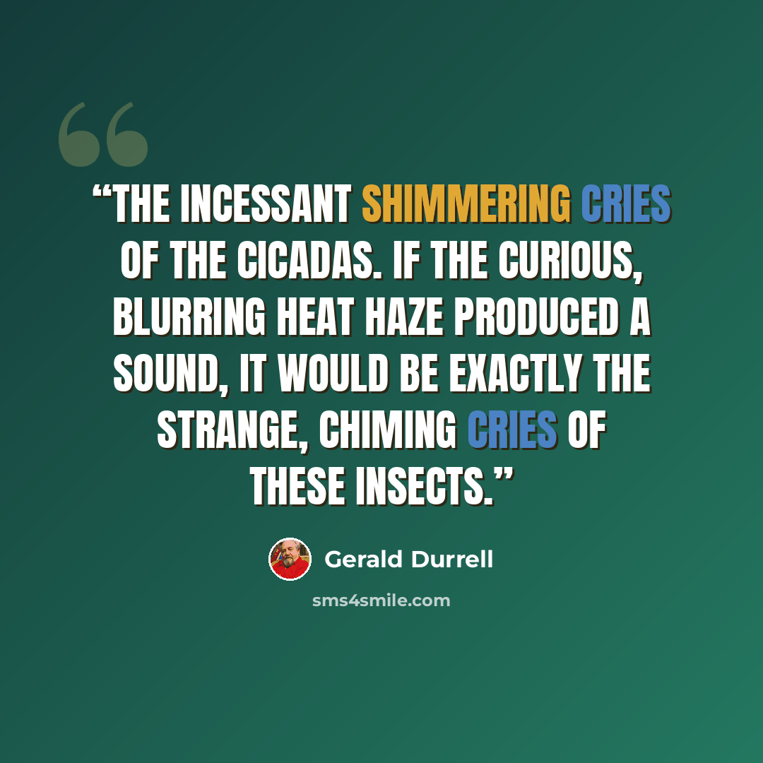 “the incessant shimmering cries of the cicadas. If the curious, blurring heat haze produced a sound, it would be exactly the strange, chiming cries of these insects.” quote by Gerald Durrell