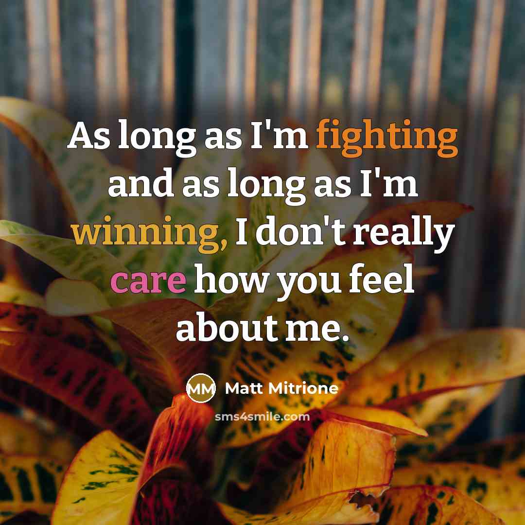 “As long as I'm fighting and as long as I'm winning, I don't really care how you feel about me.” quote by Matt Mitrione
