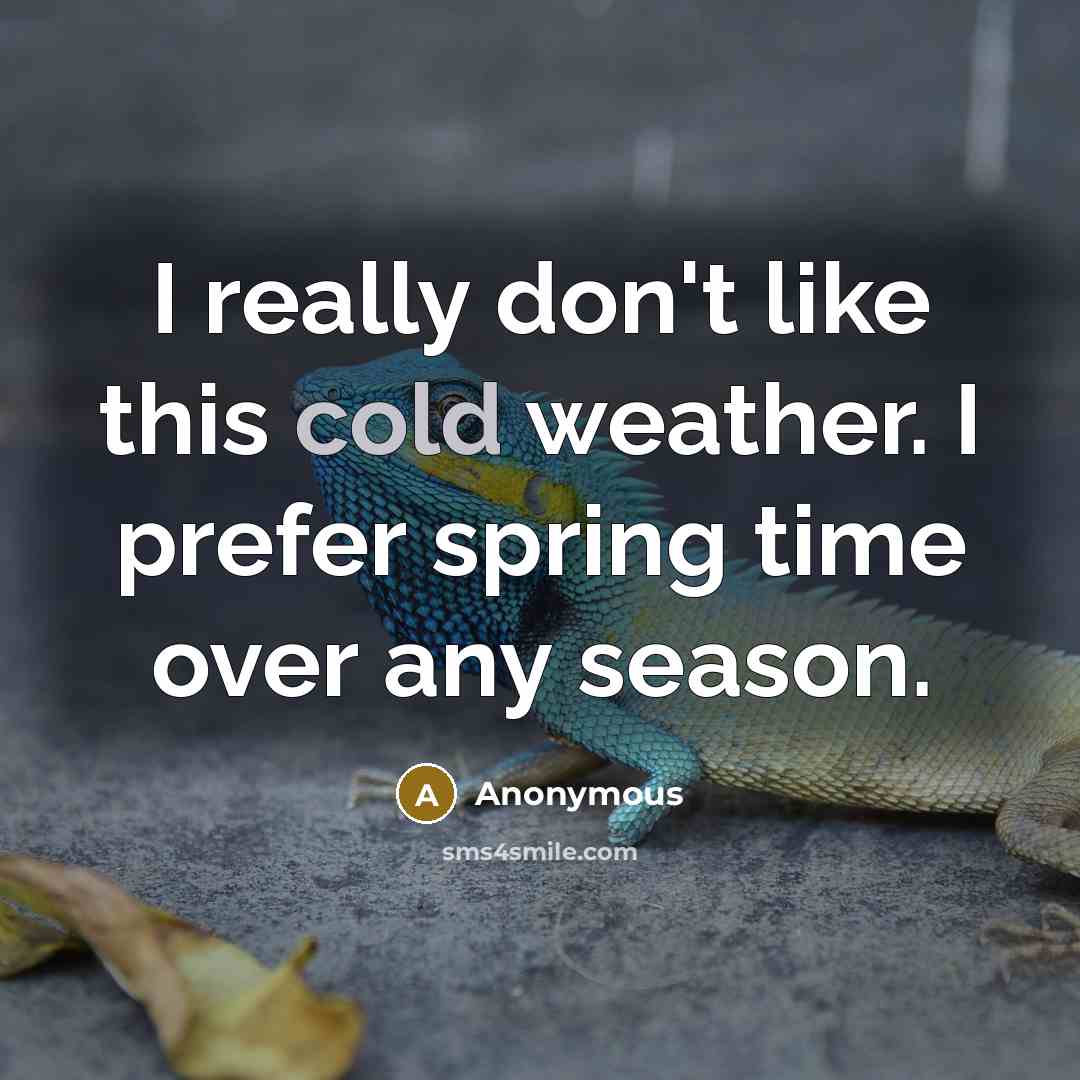 “I really don't like this cold weather. I prefer spring time over any season.” quote by Anonymous