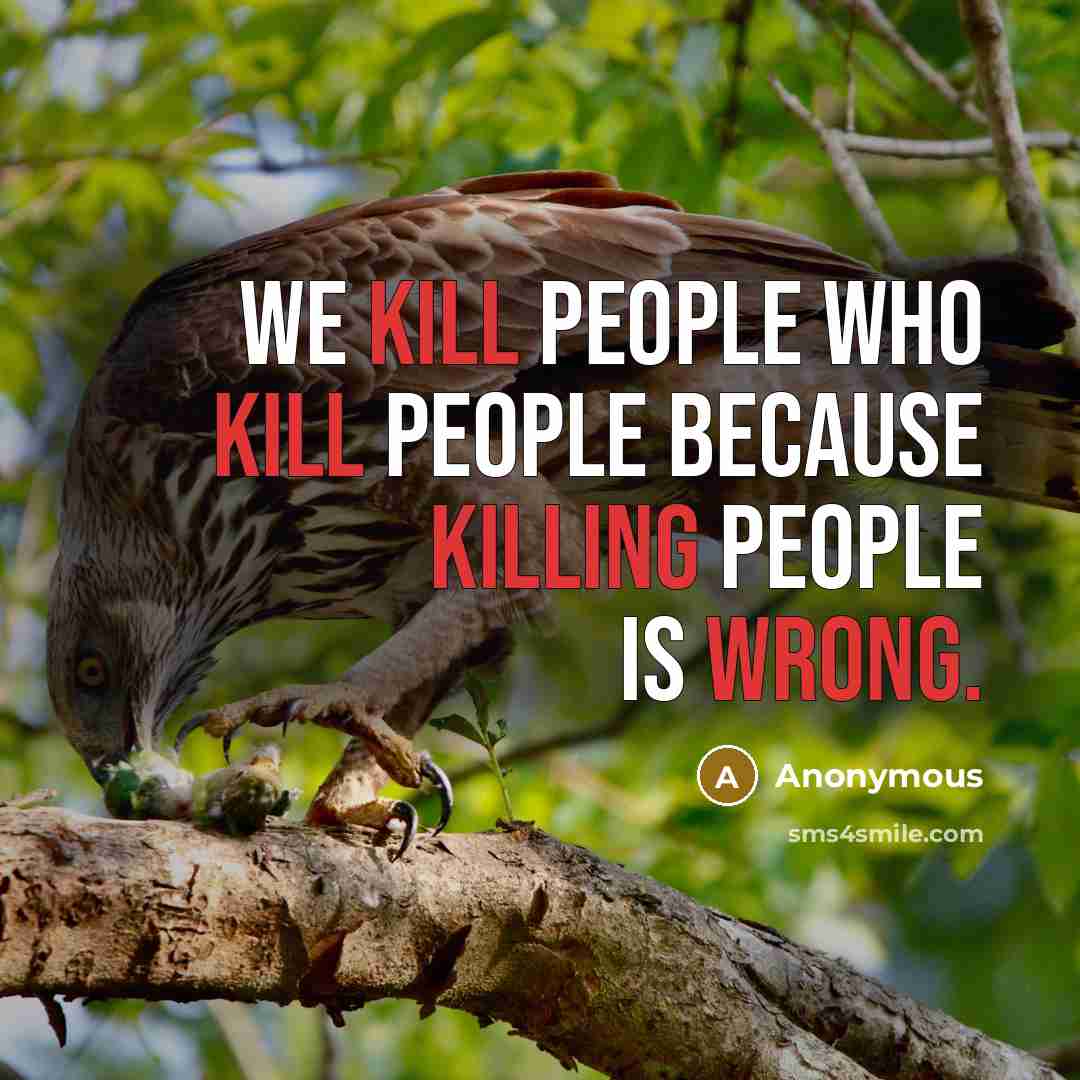 “We kill people who kill people because killing people is wrong.” quote by Anonymous