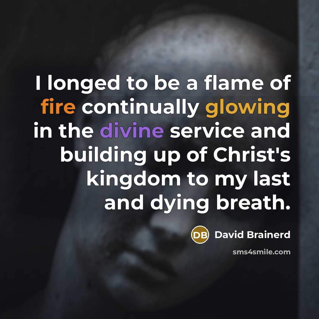 “I longed to be a flame of fire continually glowing in the divine service and building up of Christ's kingdom to my last and dying breath.” quote by David Brainerd