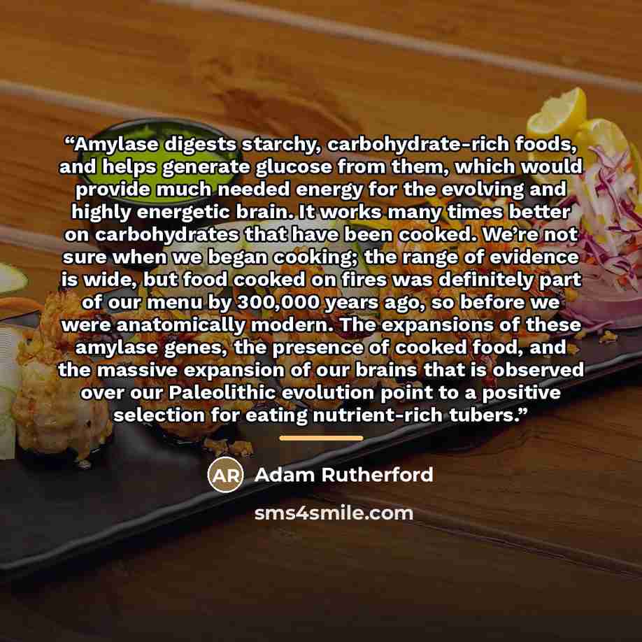 “Amylase digests starchy, carbohydrate-rich foods, and helps generate glucose from them, which would provide much needed energy for the evolving and highly energetic brain. It works many times better on carbohydrates that have been cooked. We’re not sure when we began cooking; the range of evidence…” quote by Adam Rutherford