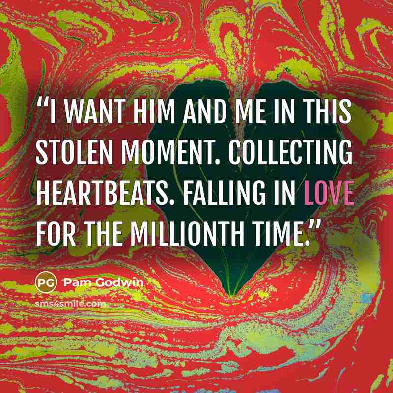 “I want him and me in this stolen moment. Collecting heartbeats. Falling in love for the millionth time.” quote by Pam Godwin