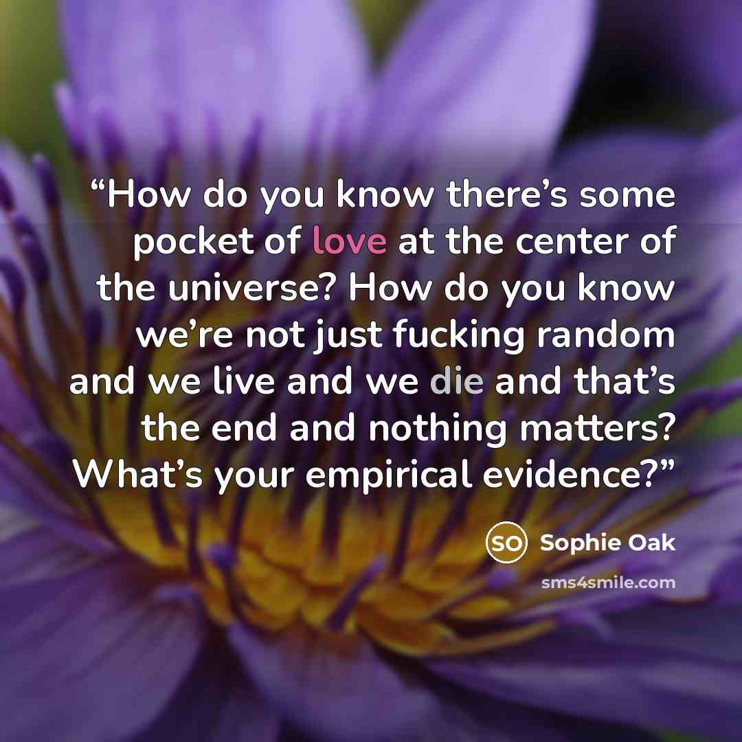 “How do you know there’s some pocket of love at the center of the universe? How do you know we’re not just fucking random and we live and we die and that’s the end and nothing matters? What’s your empirical evidence?” quote by Sophie Oak