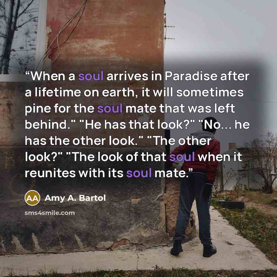 “When a soul arrives in Paradise after a lifetime on earth, it will sometimes pine for the soul mate that was left behind." "He has that look?" "No... he has the other look." "The other look?" "The look of that soul when it reunites with its soul mate.” quote by Amy A. Bartol