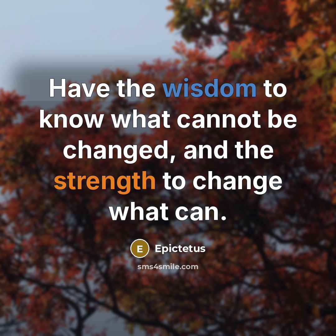 “Have the wisdom to know what cannot be changed, and the strength to change what can.” quote by Epictetus