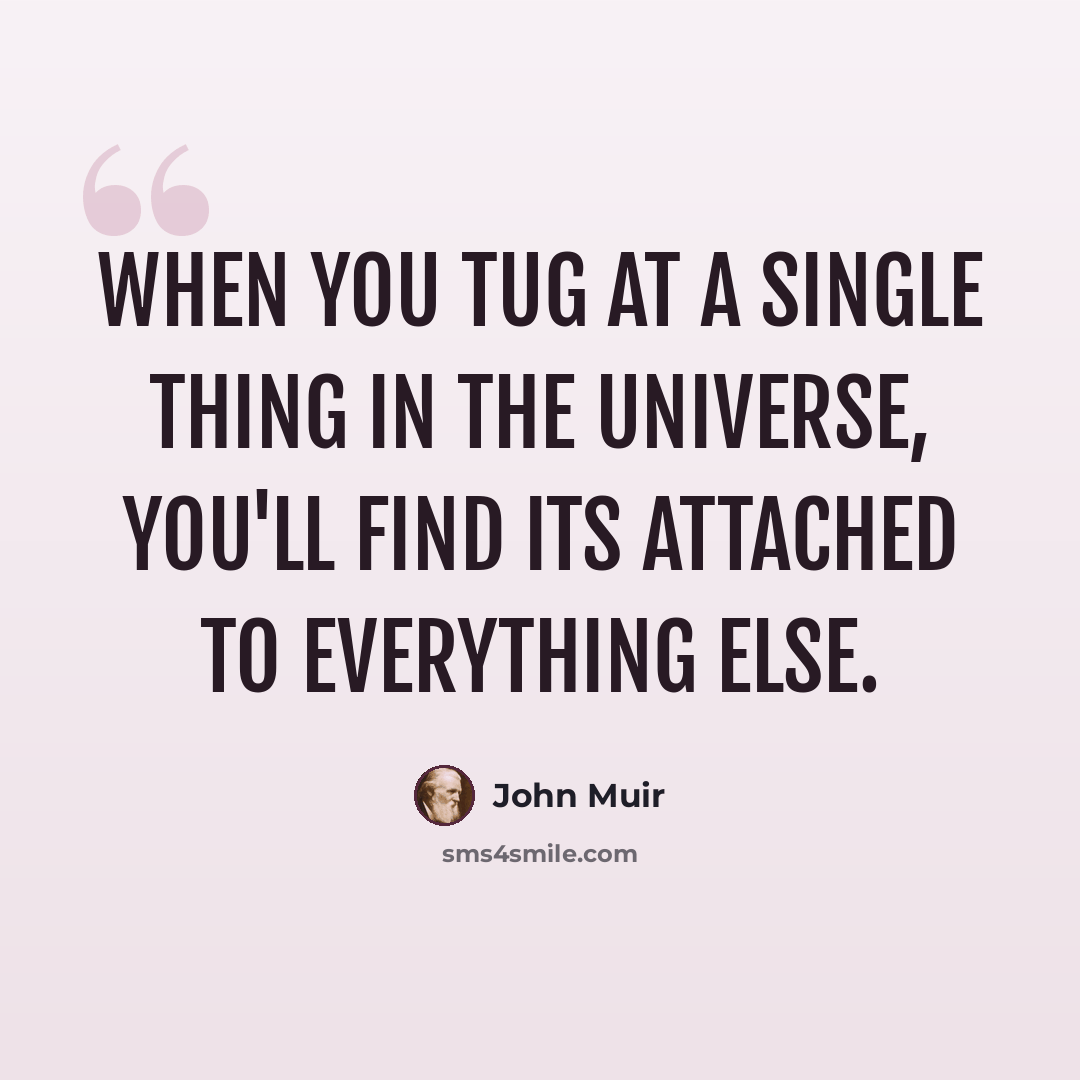 “When you tug at a single thing in the universe, you'll find its attached to everything else.” quote by John Muir