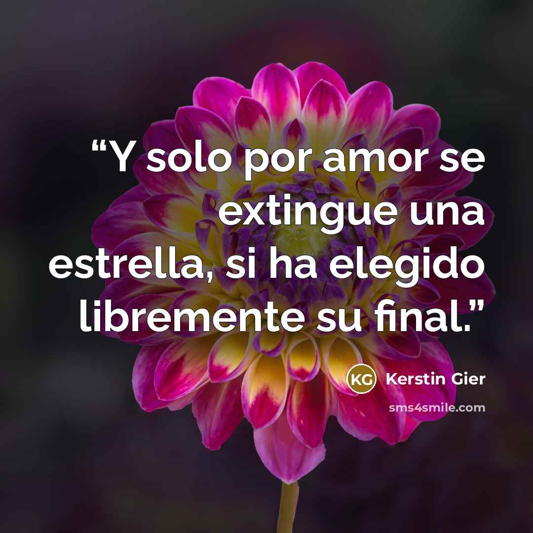 “Y solo por amor se extingue una estrella, si ha elegido libremente su final.” quote by Kerstin Gier
