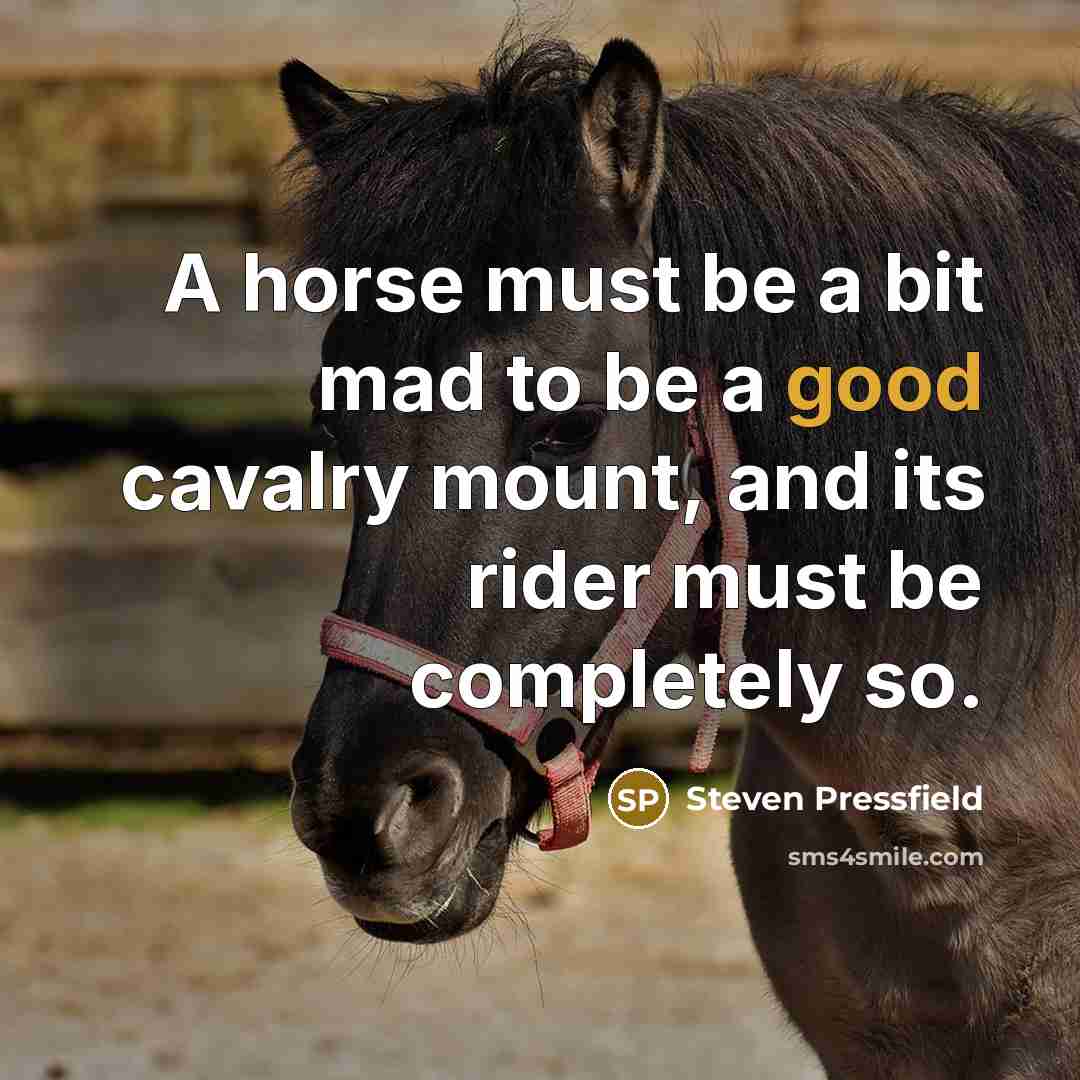 “A horse must be a bit mad to be a good cavalry mount, and its rider must be completely so.” quote by Steven Pressfield
