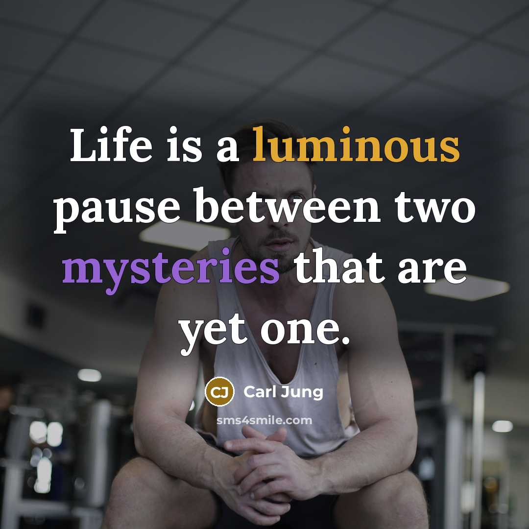 “Life is a luminous pause between two mysteries that are yet one.” quote by Carl Jung