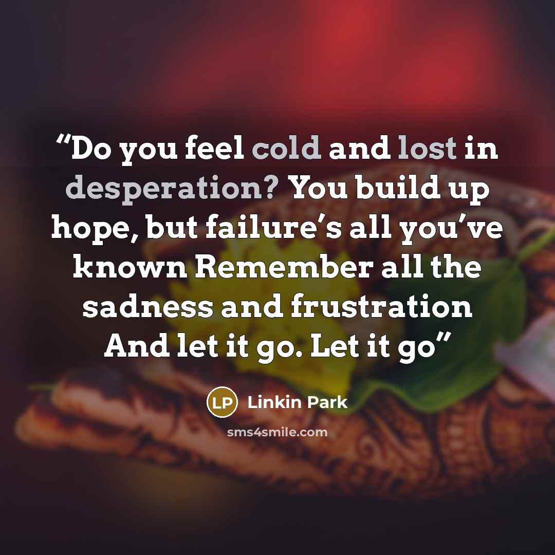 “Do you feel cold and lost in desperation? You build up hope, but failure’s all you’ve known Remember all the sadness and frustration And let it go. Let it go” quote by Linkin Park