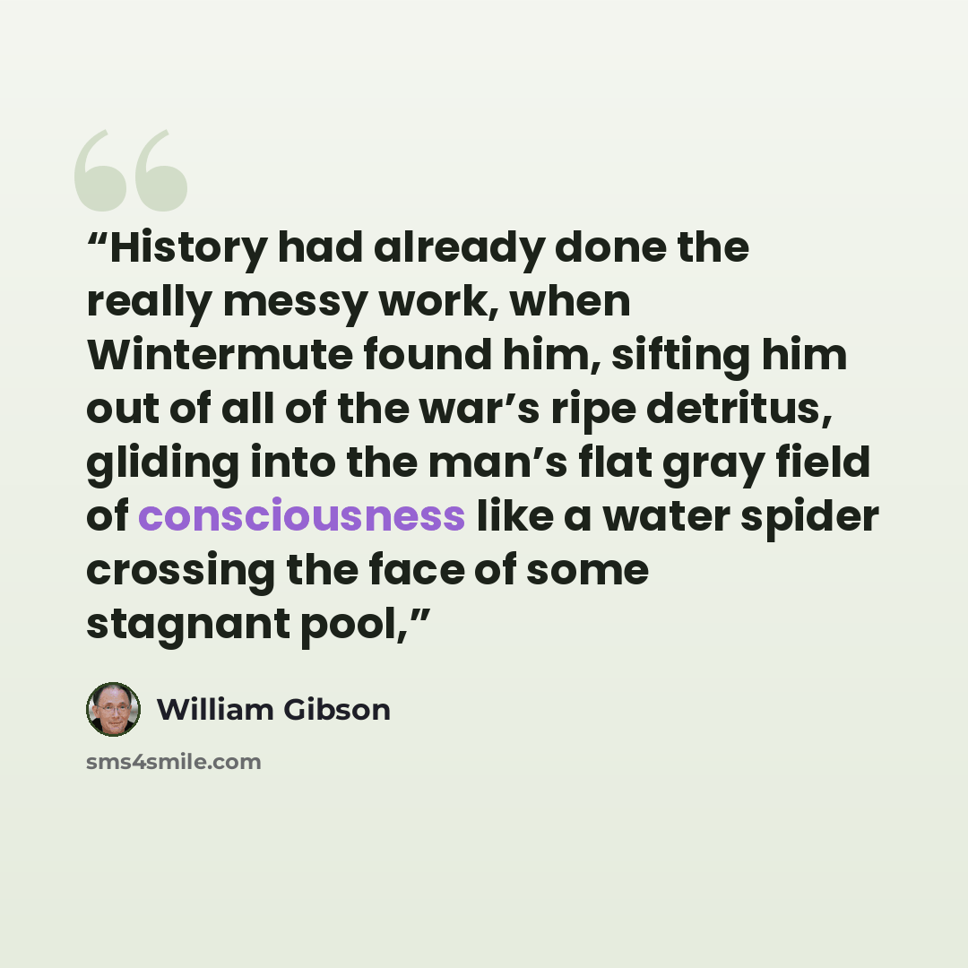 “History had already done the really messy work, when Wintermute found him, sifting him out of all of the war’s ripe detritus, gliding into the man’s flat gray field of consciousness like a water spider crossing the face of some stagnant pool,” quote by William Gibson