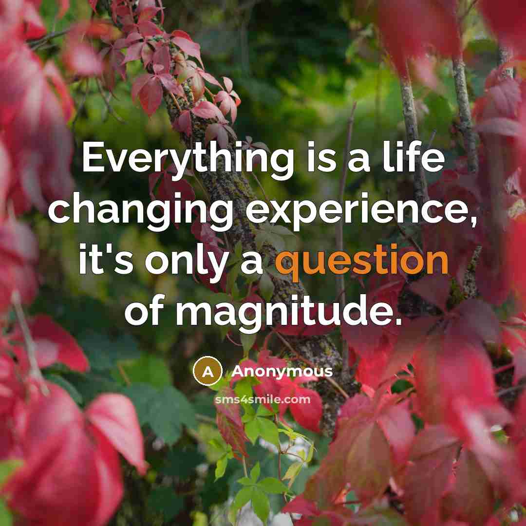 “Everything is a life changing experience, it's only a question of magnitude.” quote by Anonymous