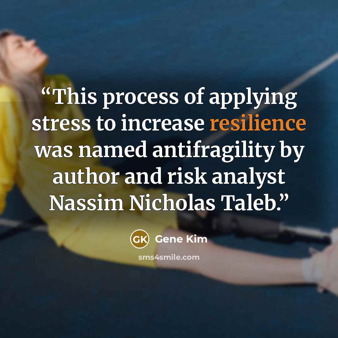 “This process of applying stress to increase resilience was named antifragility by author and risk analyst Nassim Nicholas Taleb.” quote by Gene Kim