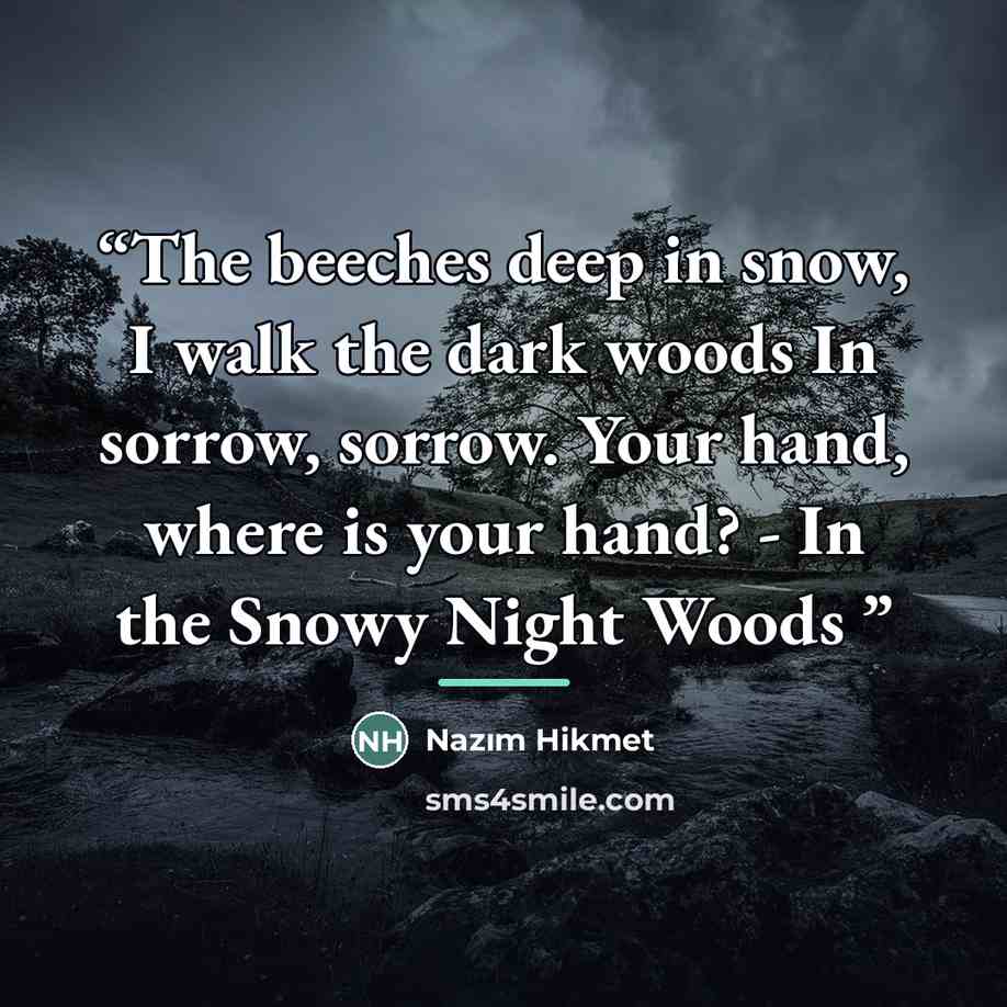 “The beeches deep in snow, I walk the dark woods In sorrow, sorrow. Your hand, where is your hand? - In the Snowy Night Woods” quote by Nâzım Hikmet
