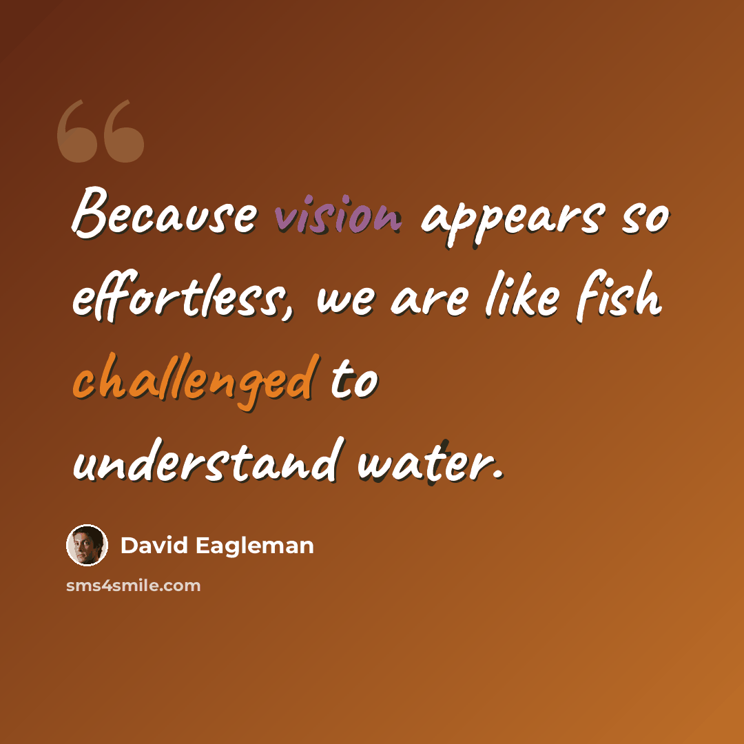 “Because vision appears so effortless, we are like fish challenged to understand water.” quote by David Eagleman