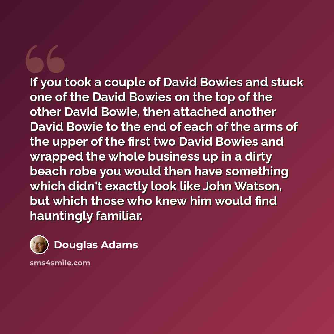 “If you took a couple of David Bowies and stuck one of the David Bowies on the top of the other David Bowie, then attached another David Bowie to the end of each of the arms of the upper of the first two David Bowies and wrapped the whole business up in a dirty beach robe you would then have…” quote by Douglas Adams