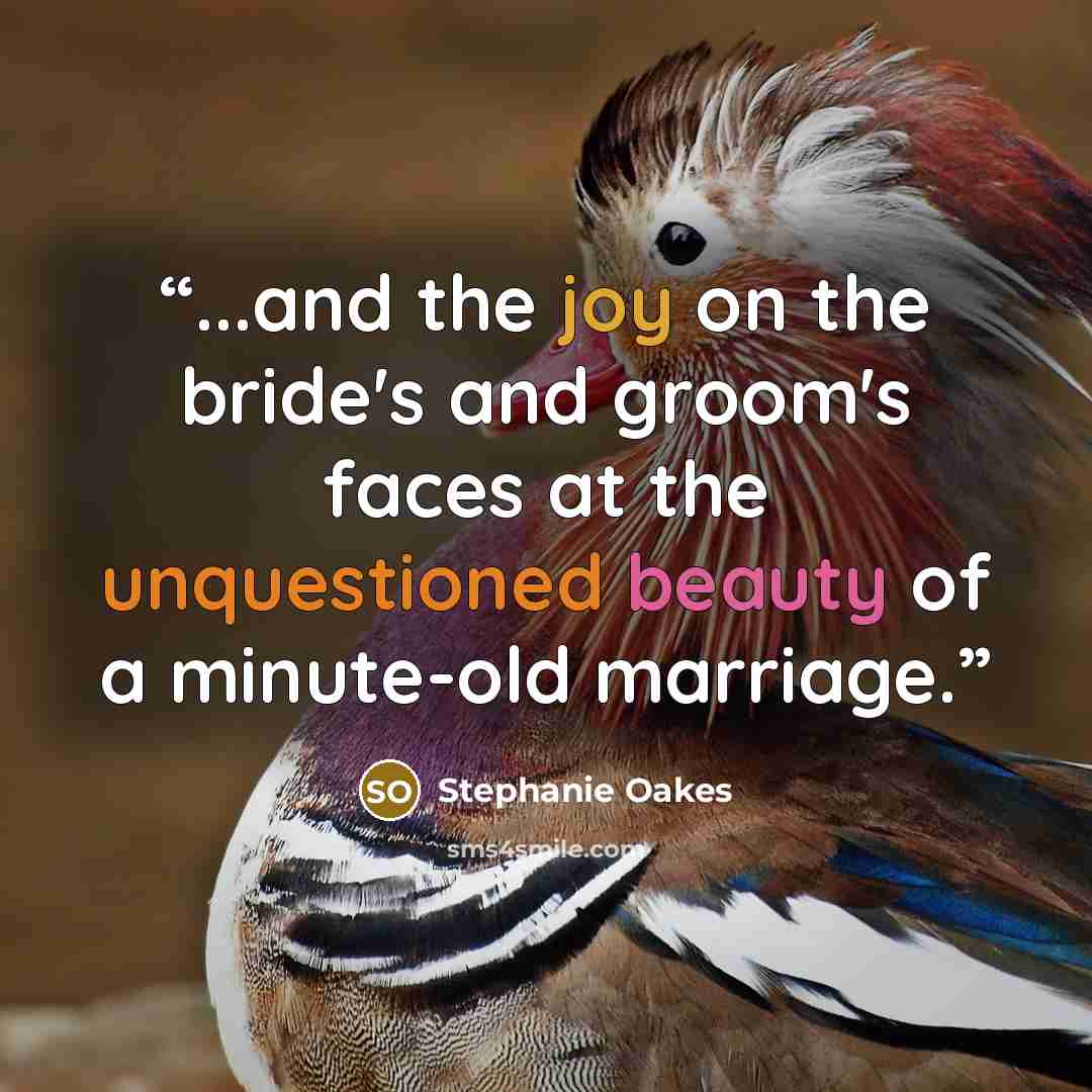 “...and the joy on the bride's and groom's faces at the unquestioned beauty of a minute-old marriage.” quote by Stephanie Oakes