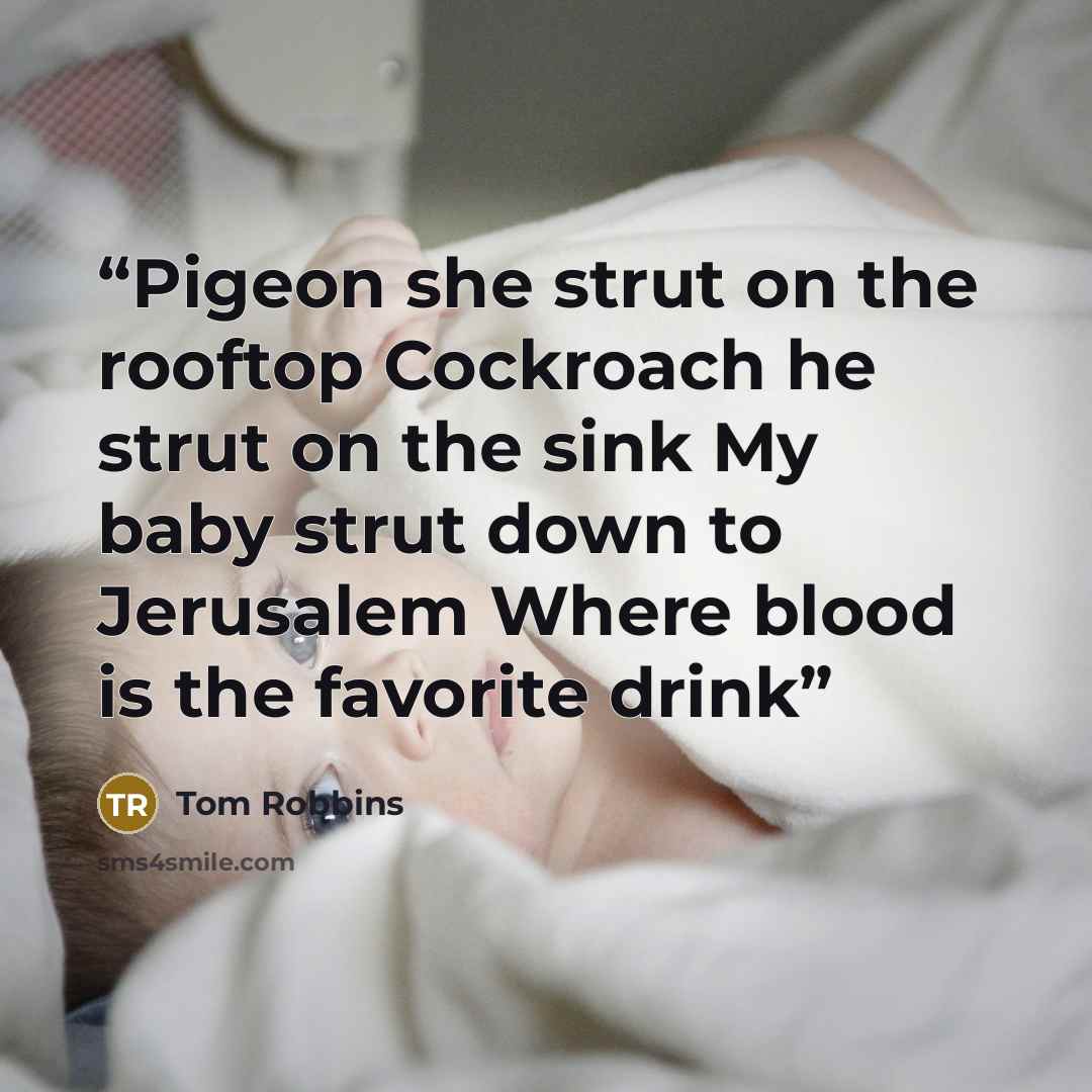 “Pigeon she strut on the rooftop Cockroach he strut on the sink My baby strut down to Jerusalem Where blood is the favorite drink” quote by Tom Robbins