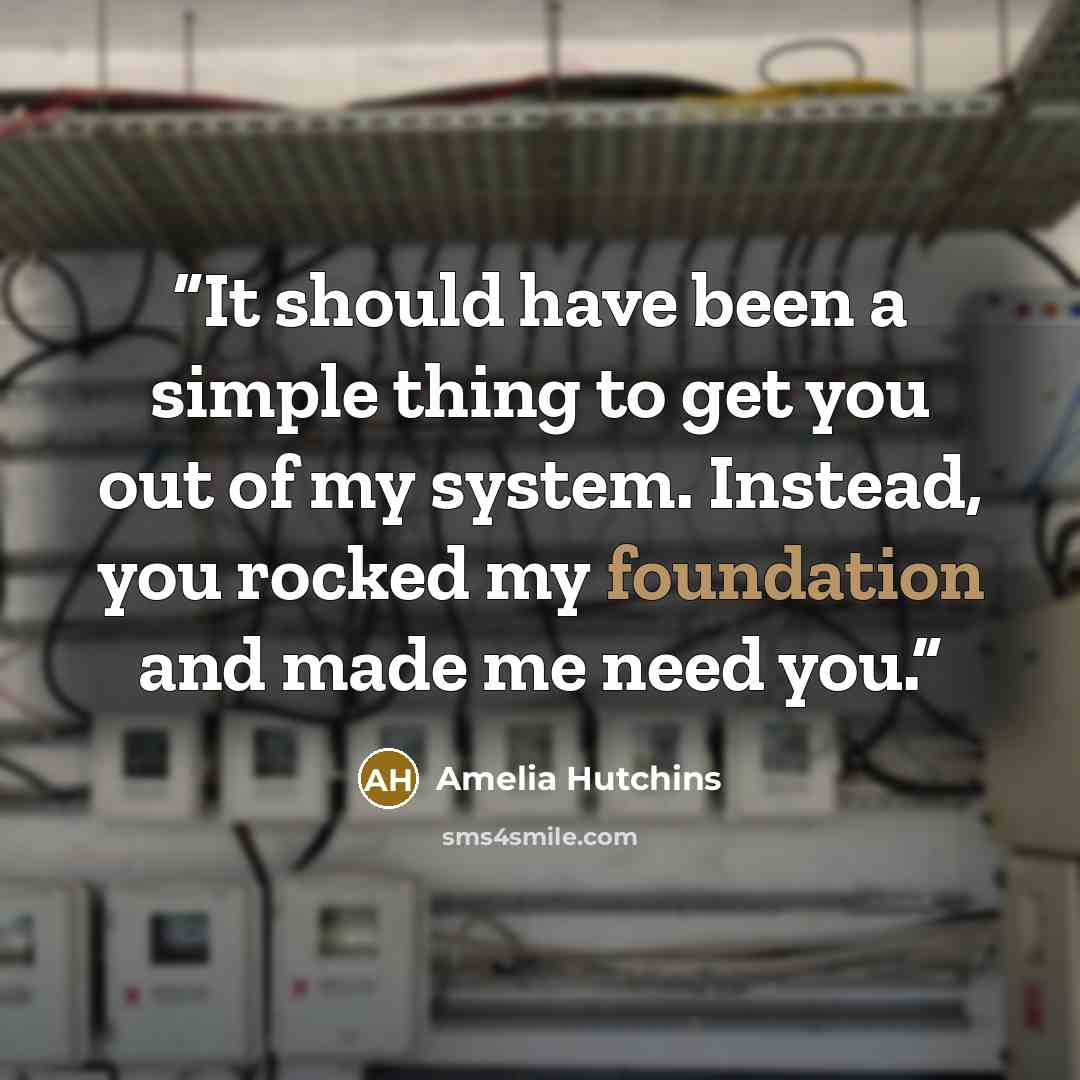 “It should have been a simple thing to get you out of my system. Instead, you rocked my foundation and made me need you.” quote by Amelia Hutchins
