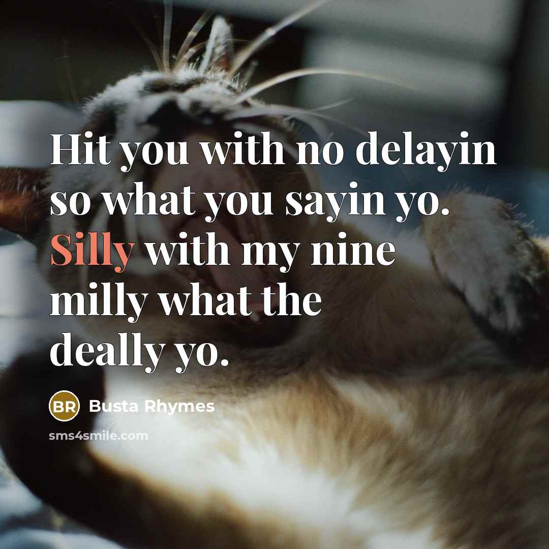 “Hit you with no delayin so what you sayin yo. Silly with my nine milly what the deally yo.” quote by Busta Rhymes