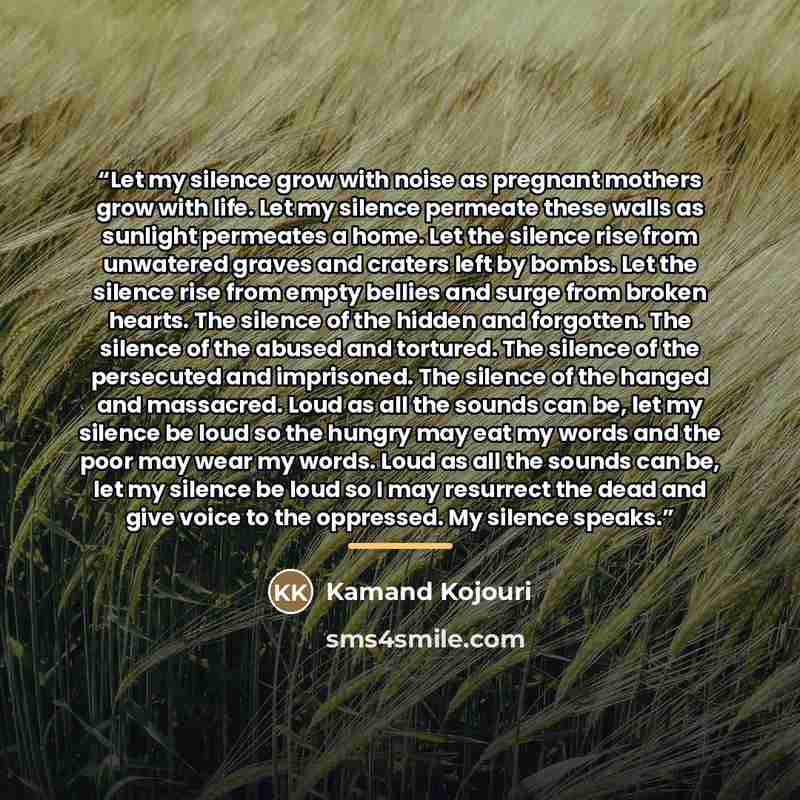 “Let my silence grow with noise as pregnant mothers grow with life. Let my silence permeate these walls as sunlight permeates a home. Let the silence rise from unwatered graves and craters left by bombs. Let the silence rise from empty bellies and surge from broken hearts. The silence of the hidden…” quote by Kamand Kojouri