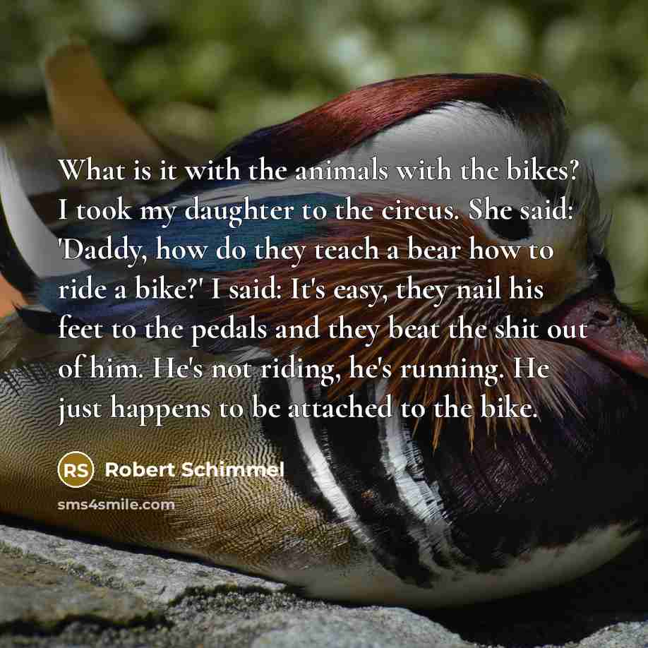 “What is it with the animals with the bikes? I took my daughter to the circus. She said: 'Daddy, how do they teach a bear how to ride a bike?' I said: It's easy, they nail his feet to the pedals and they beat the shit out of him. He's not riding, he's running. He just happens to be attached to the…” quote by Robert Schimmel