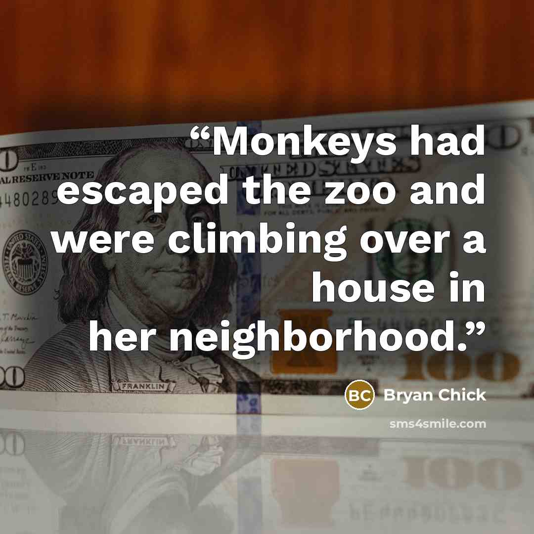 “Monkeys had escaped the zoo and were climbing over a house in her neighborhood.” quote by Bryan Chick