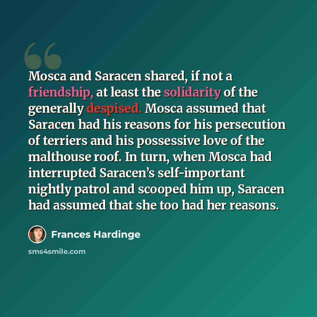 “Mosca and Saracen shared, if not a friendship, at least the solidarity of the generally despised. Mosca assumed that Saracen had his reasons for his persecution of terriers and his possessive love of the malthouse roof. In turn, when Mosca had interrupted Saracen’s self-important nightly patrol…” quote by Frances Hardinge