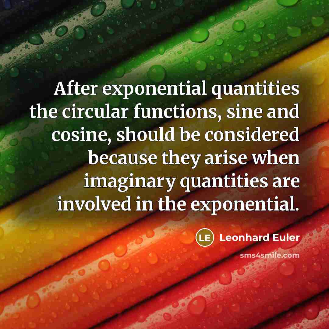 “After exponential quantities the circular functions, sine and cosine, should be considered because they arise when imaginary quantities are involved in the exponential.” quote by Leonhard Euler
