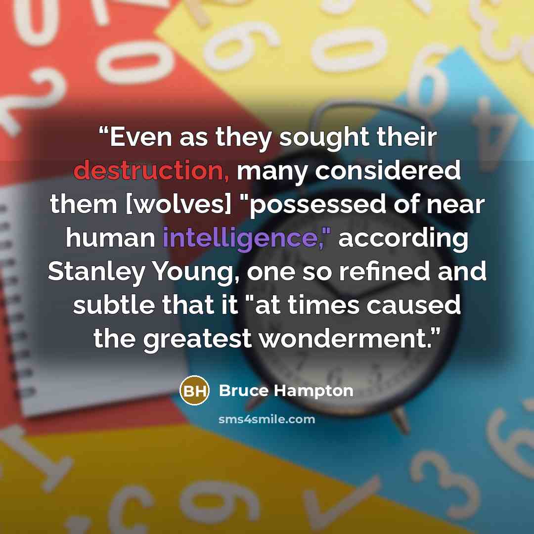 “Even as they sought their destruction, many considered them [wolves] "possessed of near human intelligence," according Stanley Young, one so refined and subtle that it "at times caused the greatest wonderment.” quote by Bruce Hampton