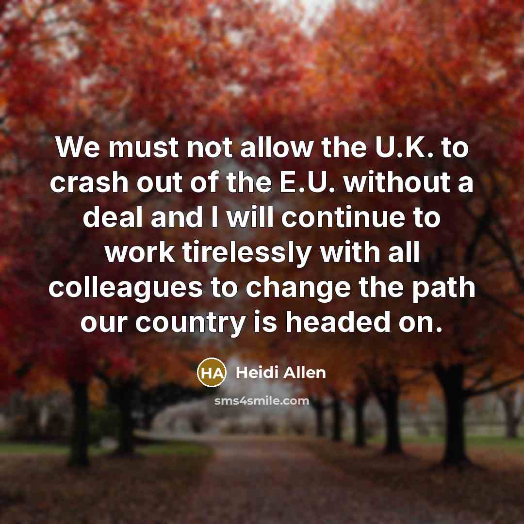 “We must not allow the U.K. to crash out of the E.U. without a deal and I will continue to work tirelessly with all colleagues to change the path our country is headed on.” quote by Heidi Allen