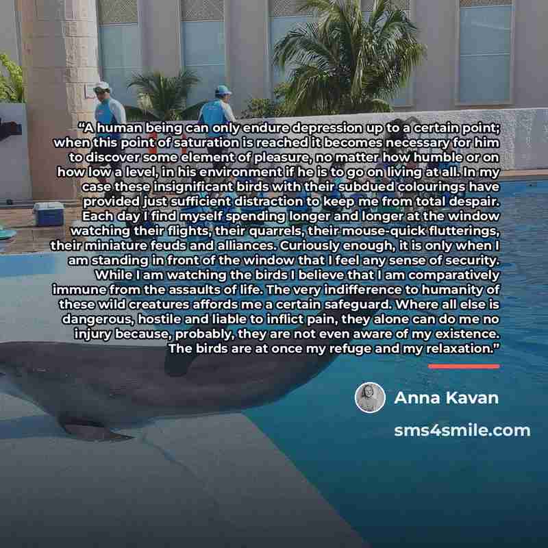 “A human being can only endure depression up to a certain point; when this point of saturation is reached it becomes necessary for him to discover some element of pleasure, no matter how humble or on how low a level, in his environment if he is to go on living at all. In my case these insignificant…” quote by Anna Kavan