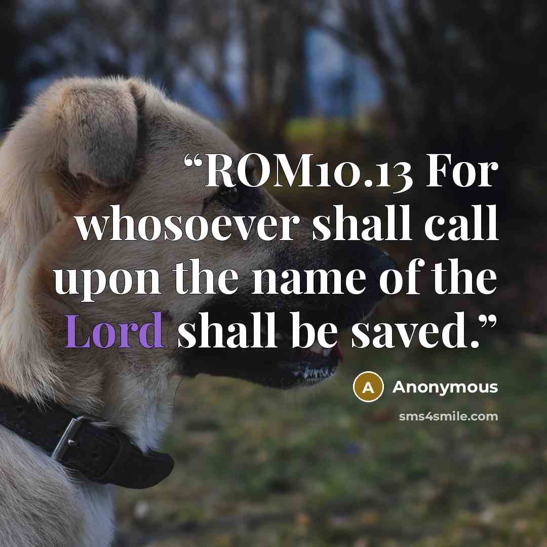 “ROM10.13 For whosoever shall call upon the name of the Lord shall be saved.” quote by Anonymous