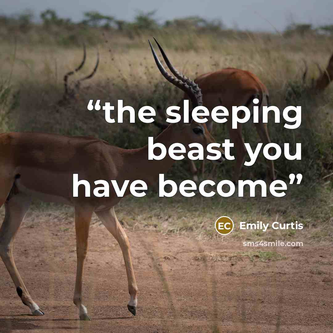 “the sleeping beast you have become” quote by Emily Curtis