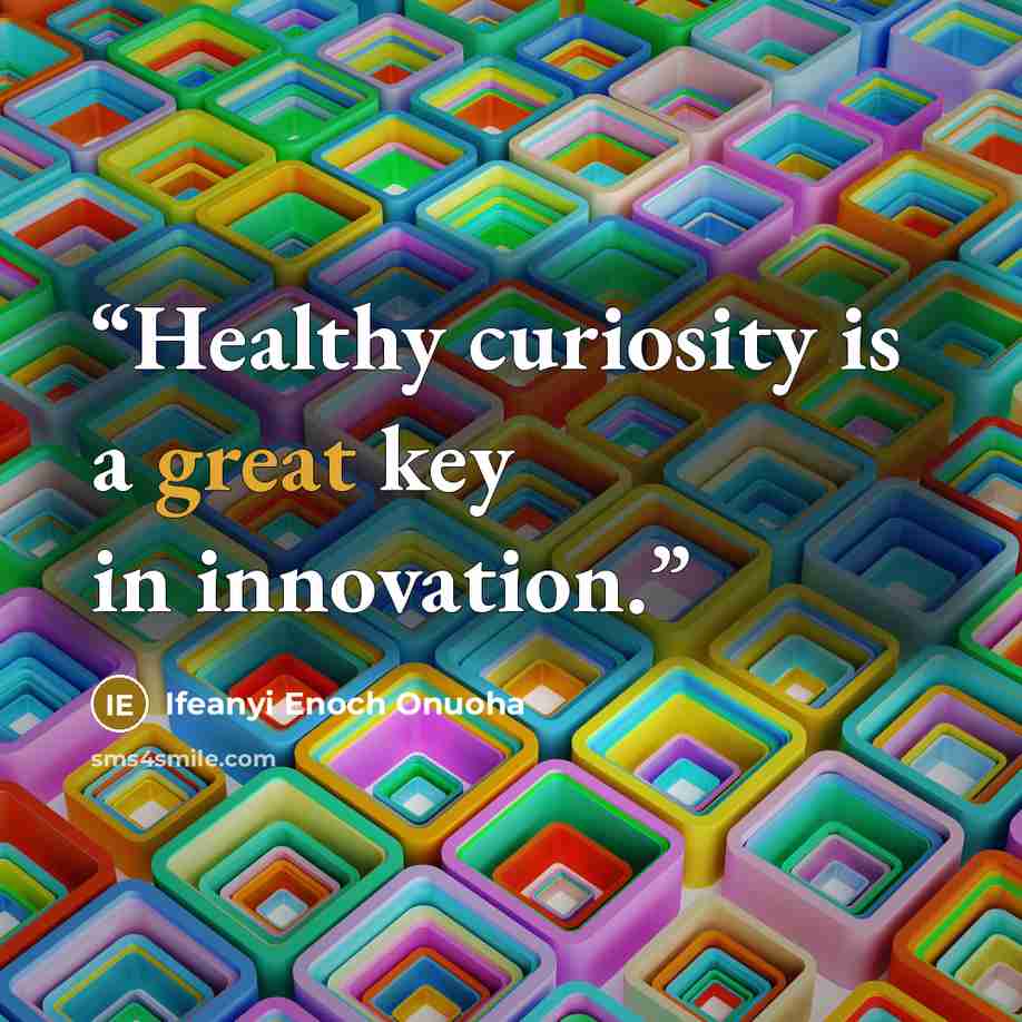 “Healthy curiosity is a great key in innovation.” quote by Ifeanyi Enoch Onuoha