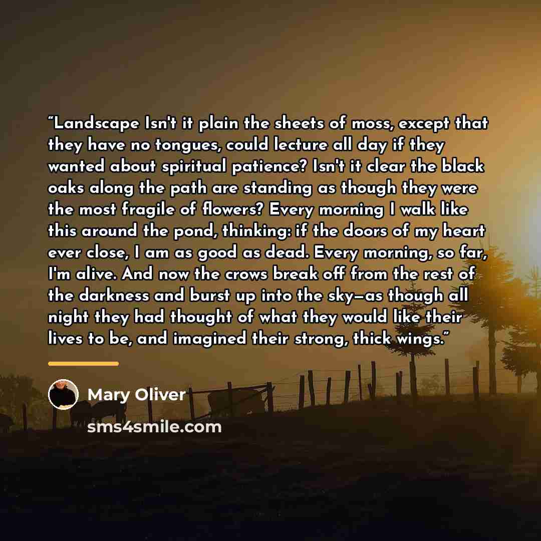 “Landscape Isn't it plain the sheets of moss, except that they have no tongues, could lecture all day if they wanted about spiritual patience? Isn't it clear the black oaks along the path are standing as though they were the most fragile of flowers? Every morning I walk like this around the pond…” quote by Mary Oliver