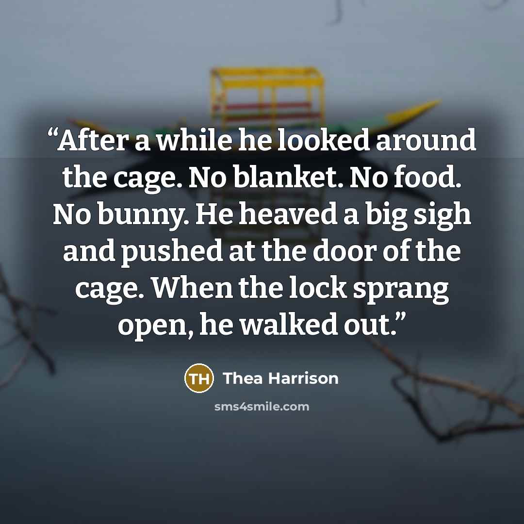 “After a while he looked around the cage. No blanket. No food. No bunny. He heaved a big sigh and pushed at the door of the cage. When the lock sprang open, he walked out.” quote by Thea Harrison