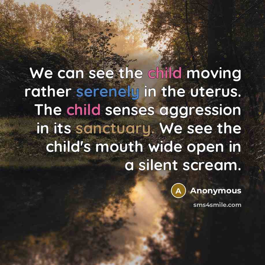 “We can see the child moving rather serenely in the uterus. The child senses aggression in its sanctuary. We see the child's mouth wide open in a silent scream.” quote by Anonymous